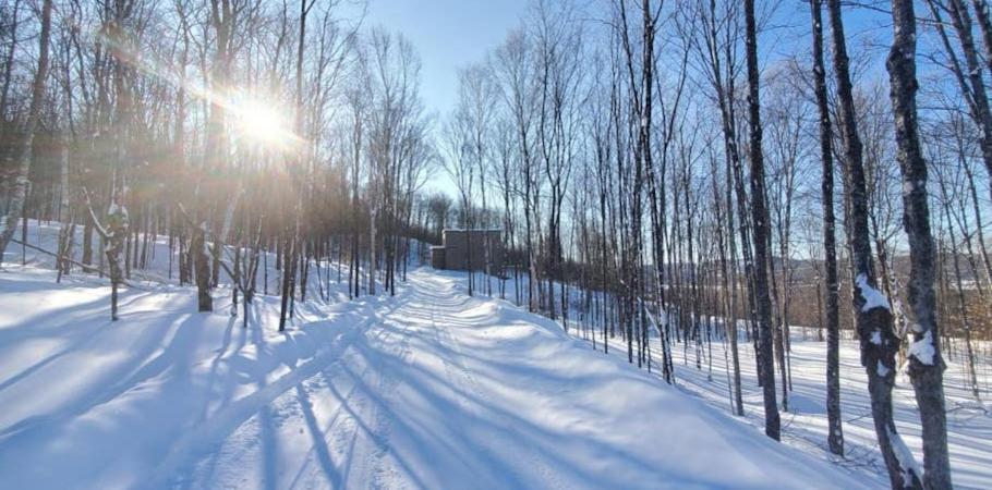 Chalet Serenity - Mont Tremblant Ski - Spa Sauna Wifi Tv Privet Chic Modern House Villa La Conception Exteriör bild